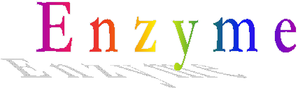 E n z y m e